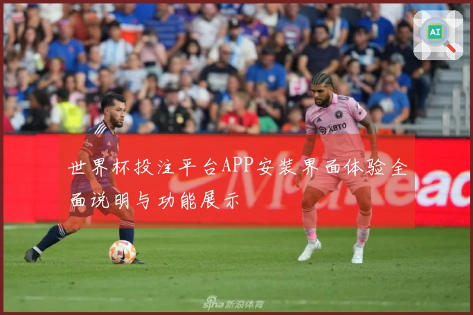 世界杯投注平台APP安装界面体验全面说明与功能展示