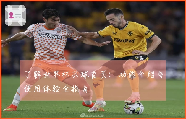 了解世界杯买球首页：功能介绍与使用体验全指南