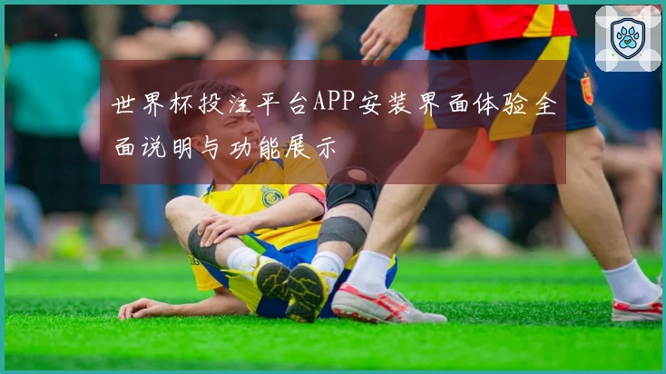 世界杯投注平台APP安装界面体验全面说明与功能展示