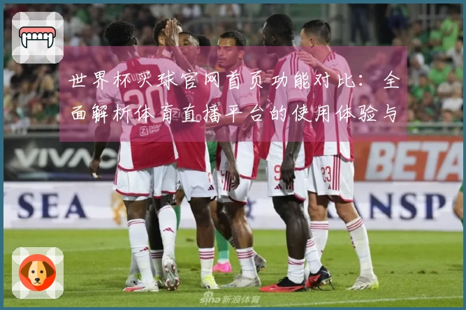 世界杯买球官网首页功能对比：全面解析体育直播平台的使用体验与入口说明