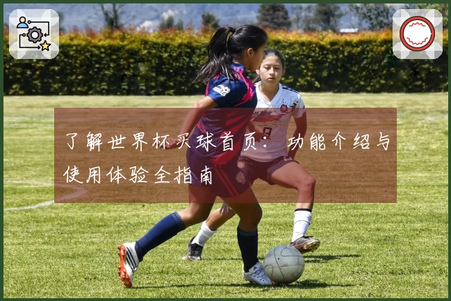 了解世界杯买球首页：功能介绍与使用体验全指南