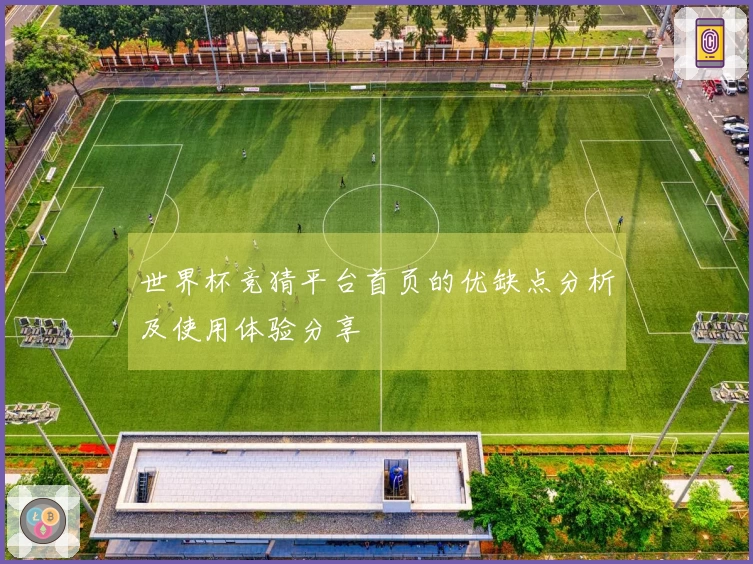 世界杯竞猜平台首页的优缺点分析及使用体验分享